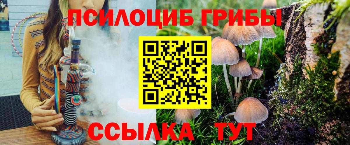 Галлюциногенные грибы Psilocybe Лянтор